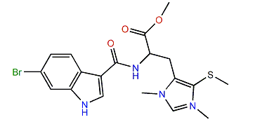 Leptoclinidamine D